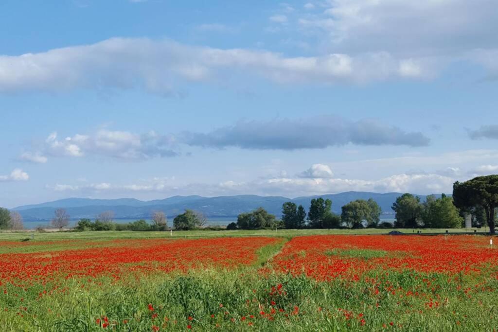 Apartamento Bellavista La Tua Romantica Vacanza Sul Trasimeno Castiglione del Lago Exterior foto