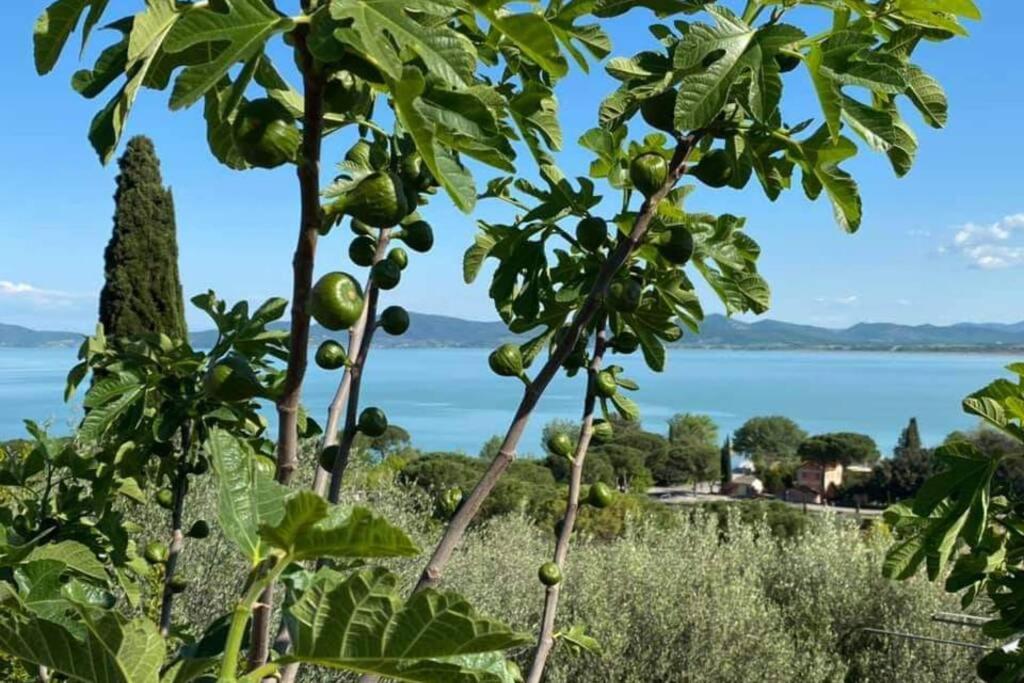 Apartamento Bellavista La Tua Romantica Vacanza Sul Trasimeno Castiglione del Lago Exterior foto