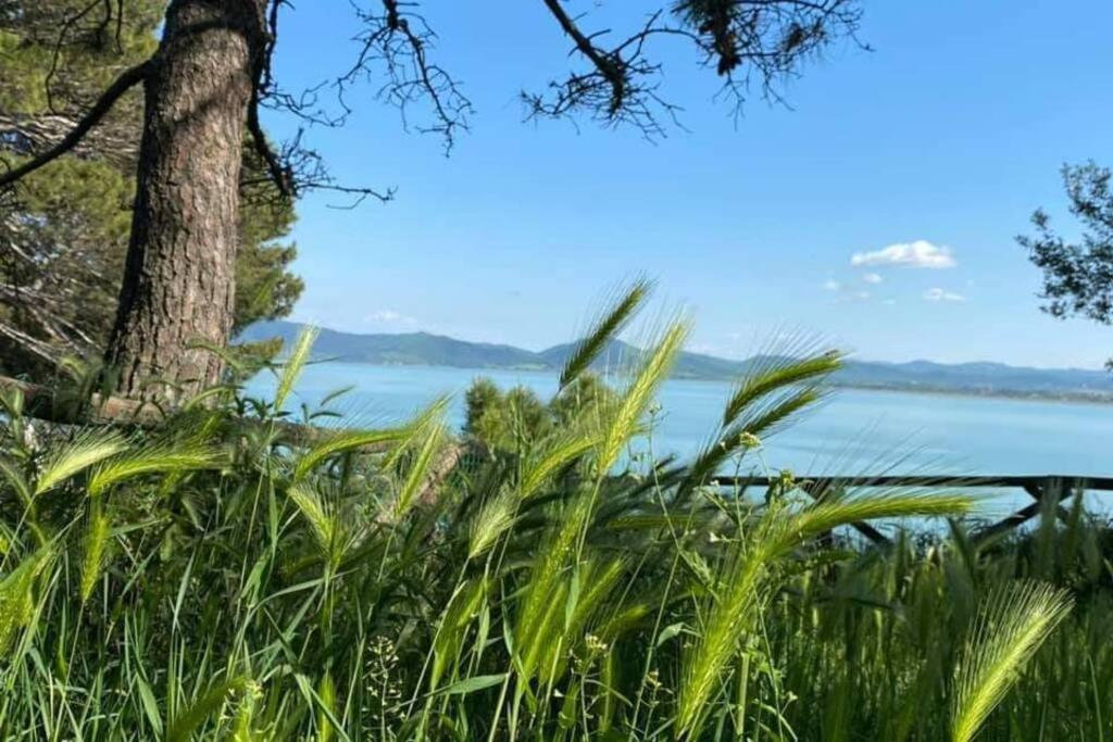 Apartamento Bellavista La Tua Romantica Vacanza Sul Trasimeno Castiglione del Lago Exterior foto