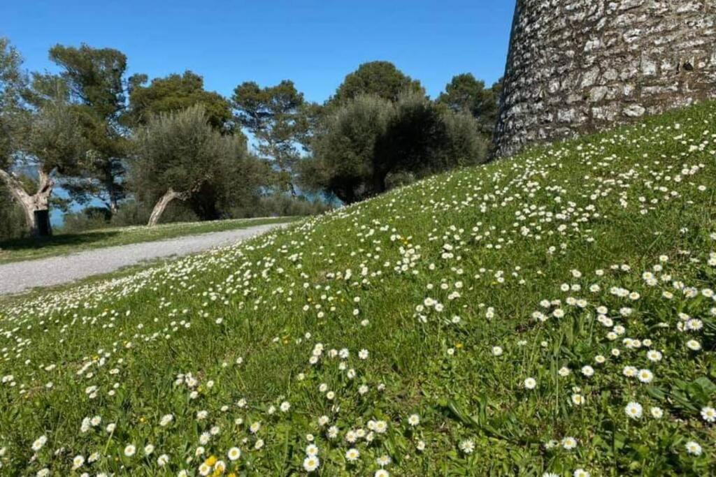 Apartamento Bellavista La Tua Romantica Vacanza Sul Trasimeno Castiglione del Lago Exterior foto